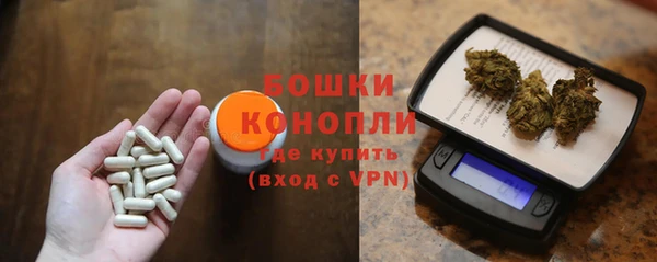 PSILOCYBIN Вяземский