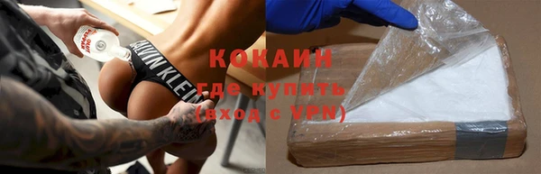 PSILOCYBIN Вяземский